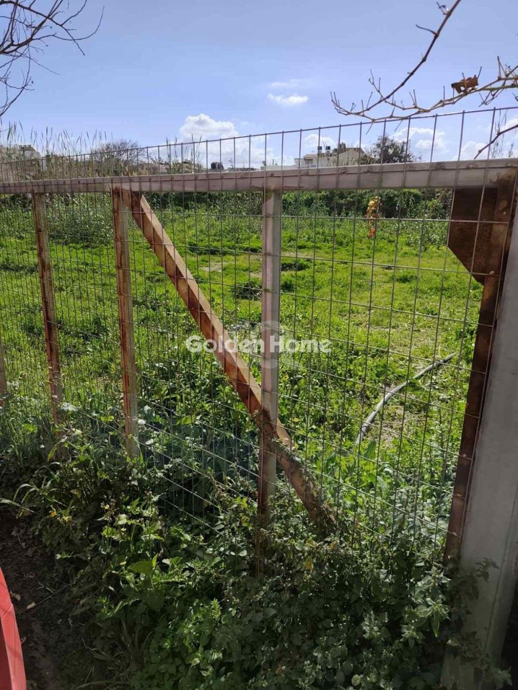 εικόνα αγγελίας