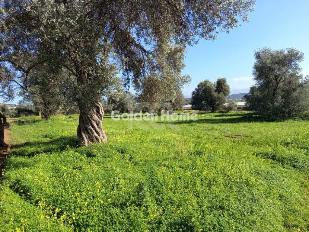 εικόνα αγγελίας