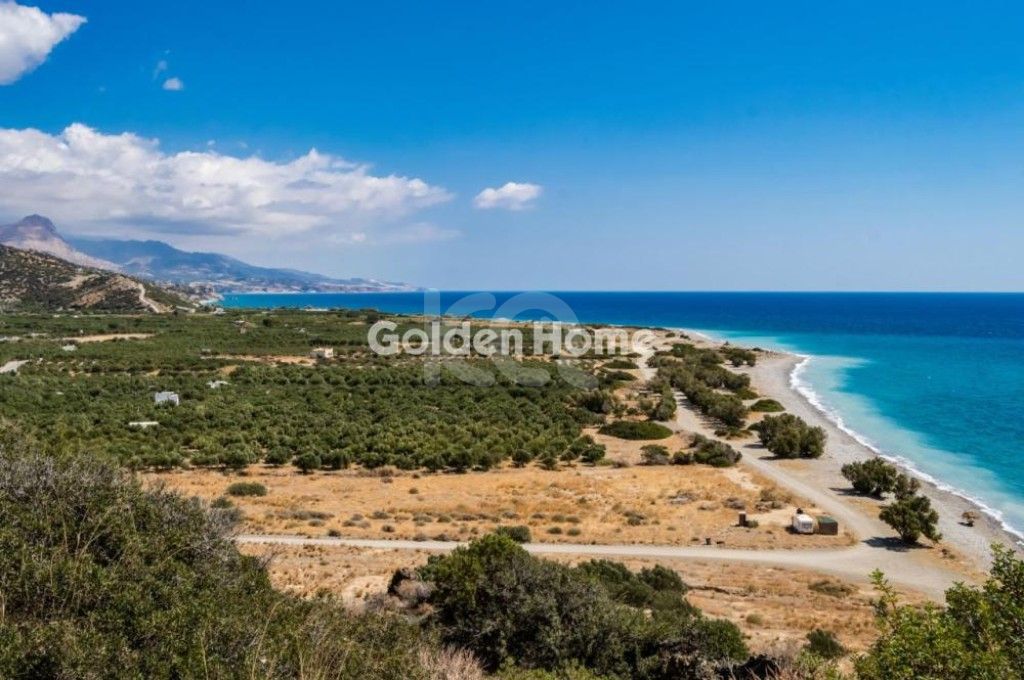 εικόνα αγγελίας