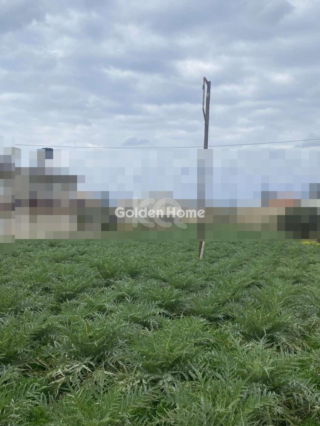 εικόνα αγγελίας