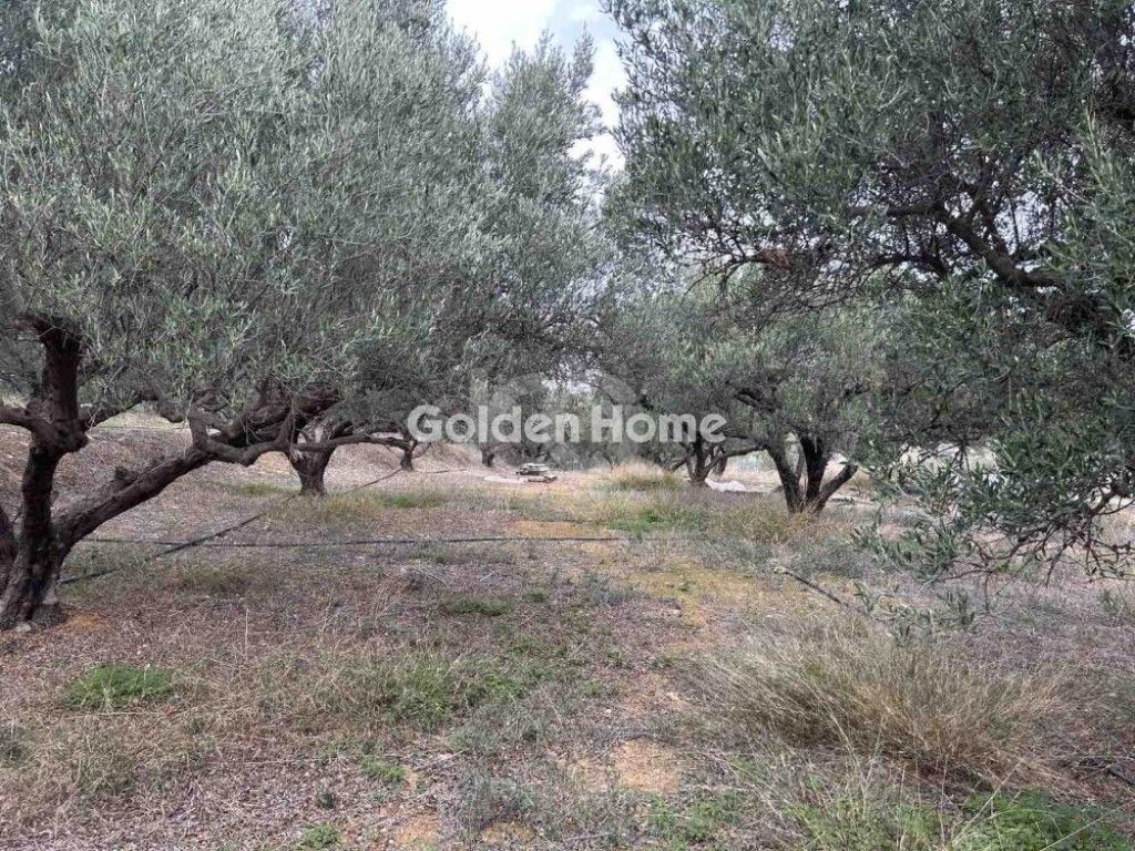 εικόνα αγγελίας