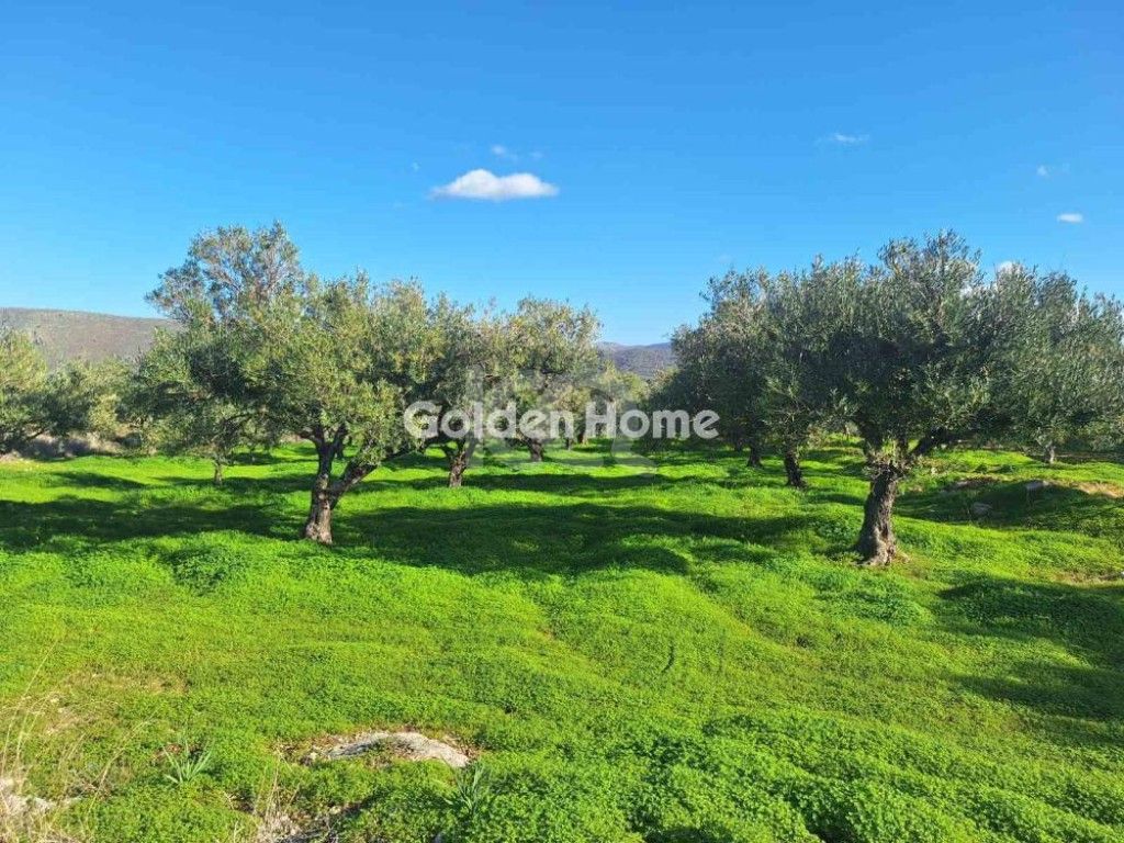 εικόνα αγγελίας