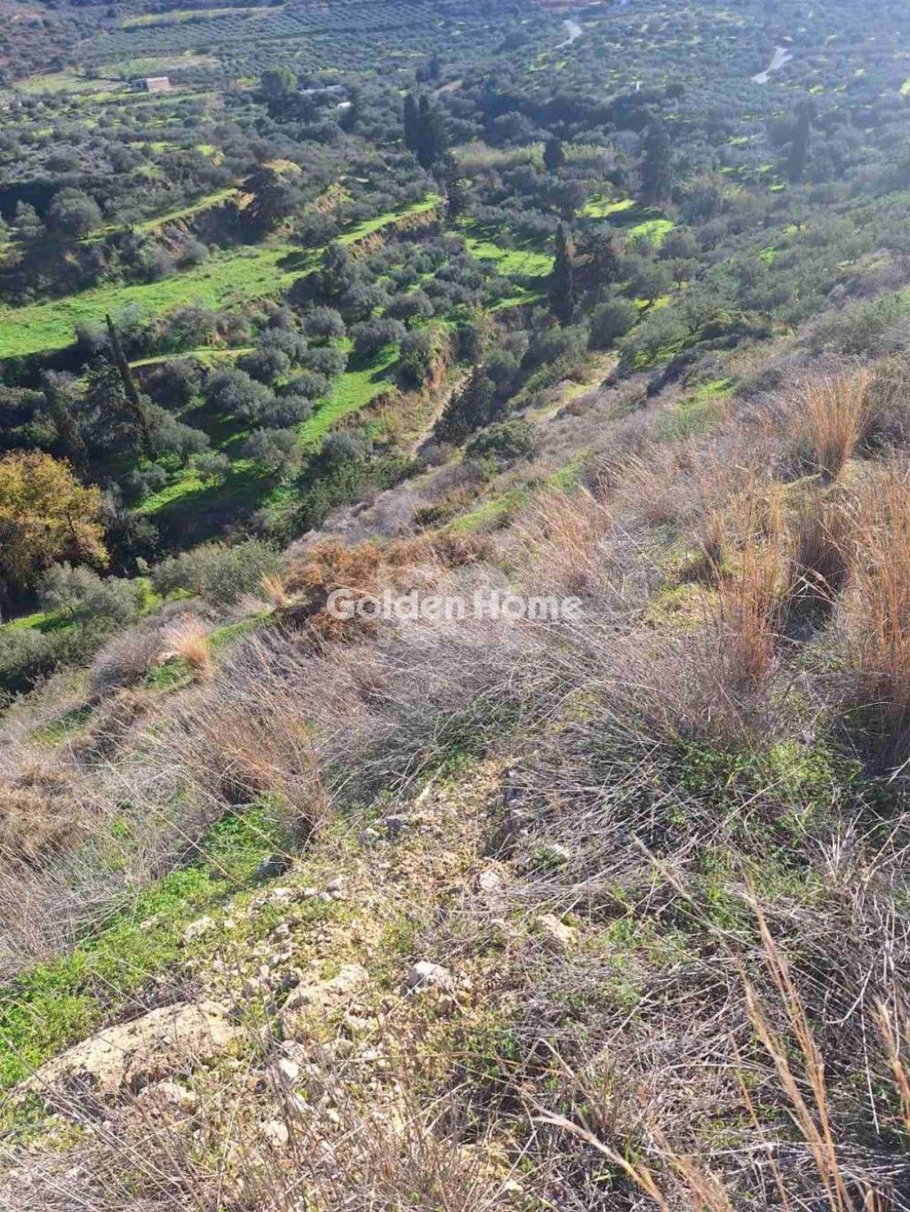 εικόνα αγγελίας