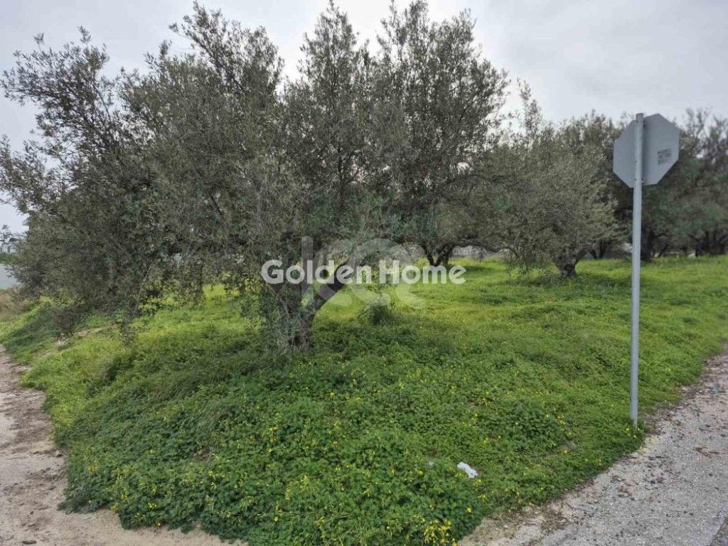 εικόνα αγγελίας