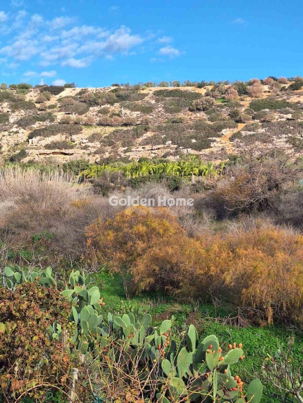 εικόνα αγγελίας