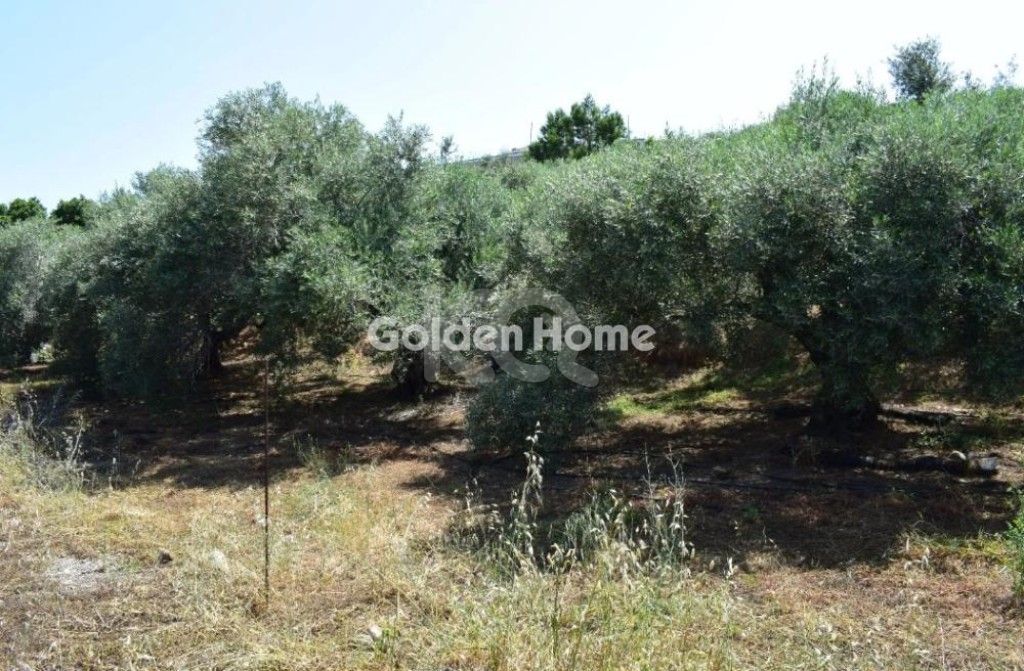 εικόνα αγγελίας