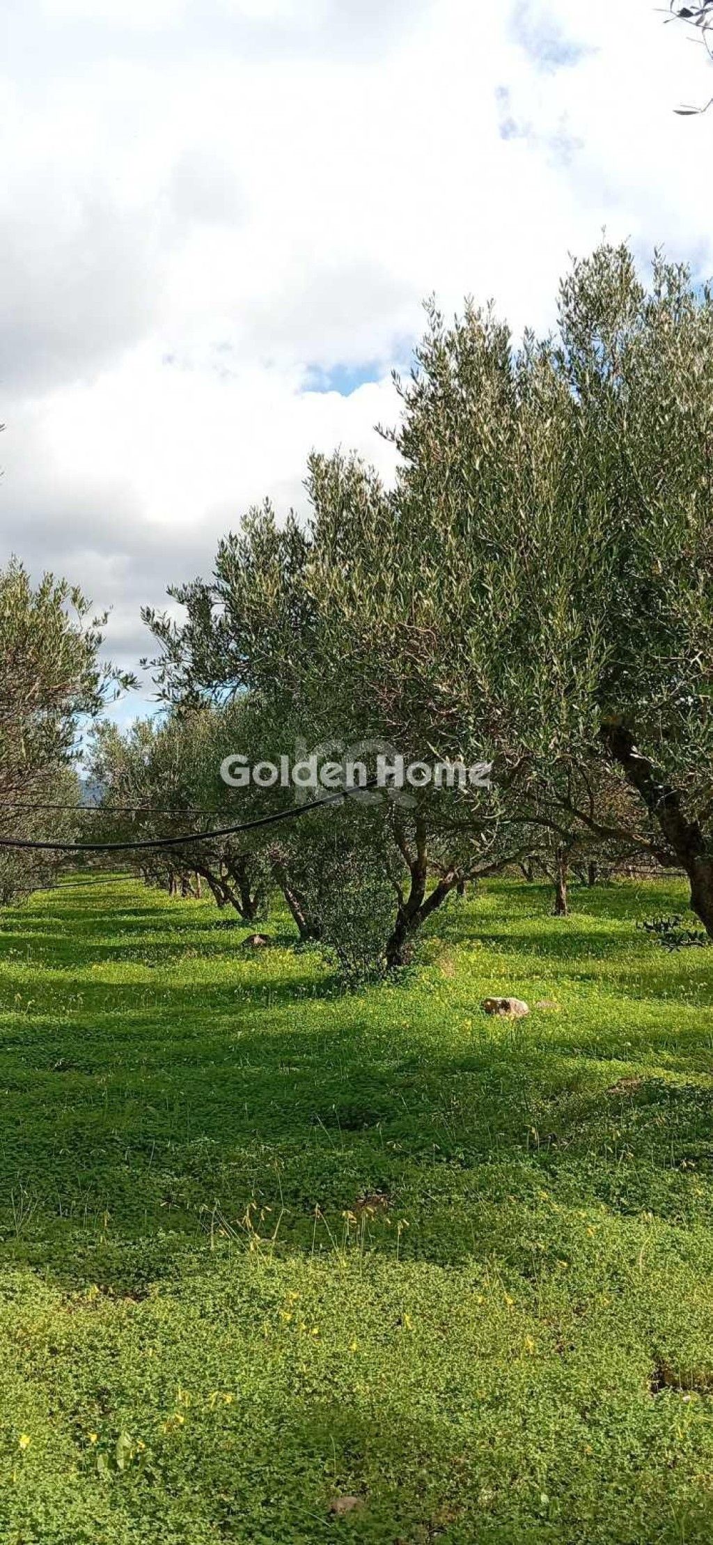 εικόνα αγγελίας