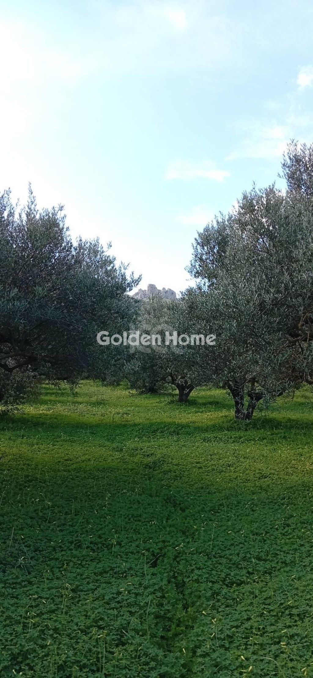 εικόνα αγγελίας