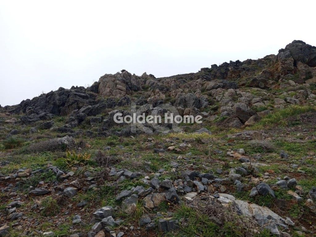 εικόνα αγγελίας