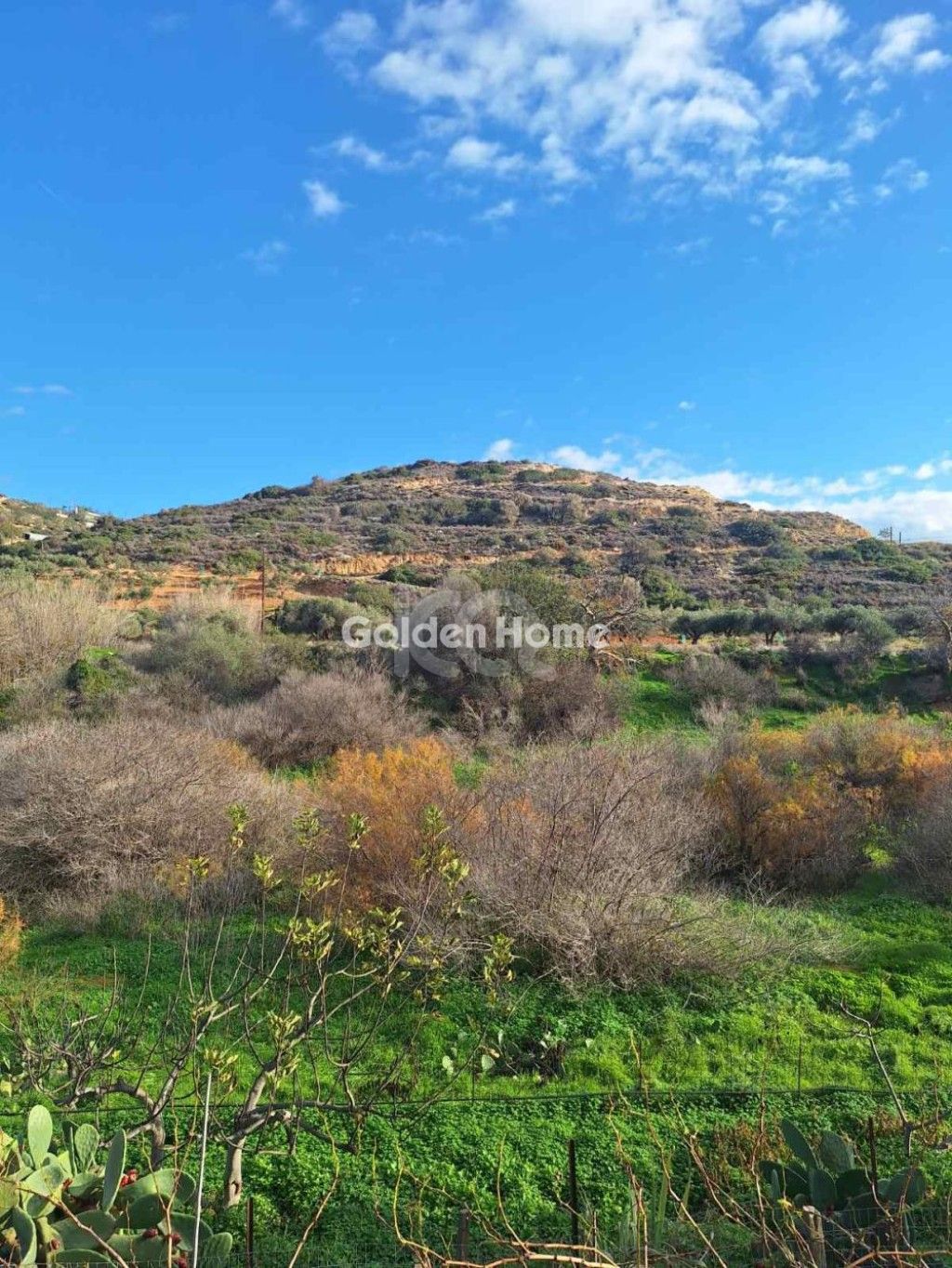 εικόνα αγγελίας