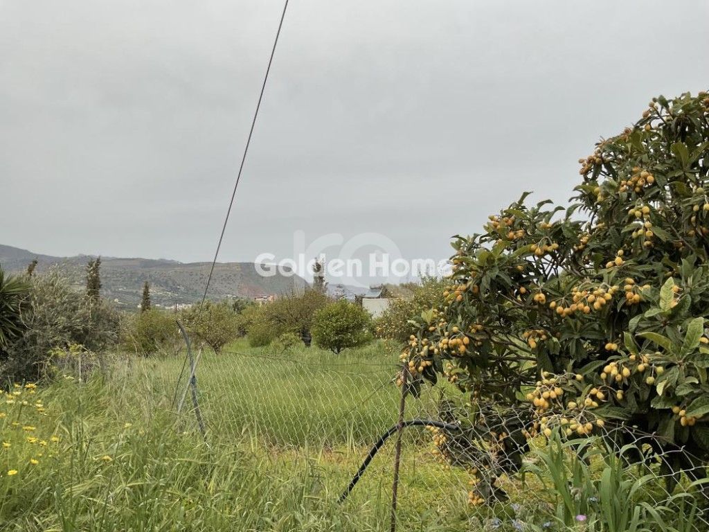 εικόνα αγγελίας