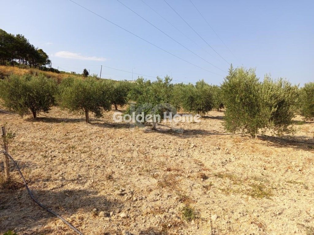 εικόνα αγγελίας