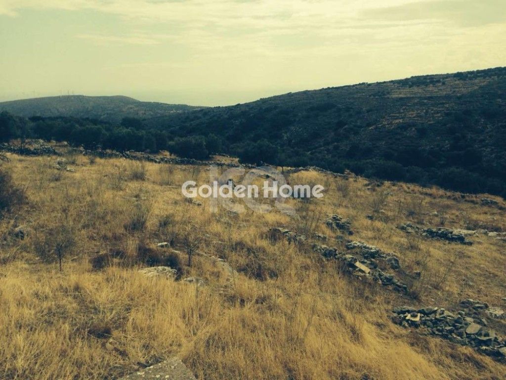 εικόνα αγγελίας