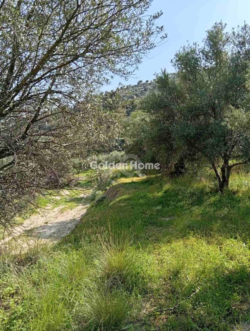 εικόνα αγγελίας