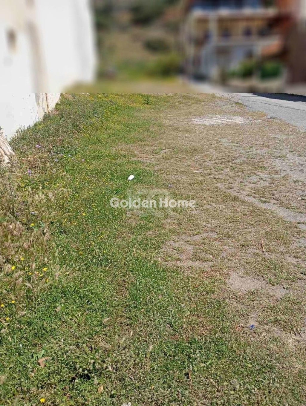 εικόνα αγγελίας