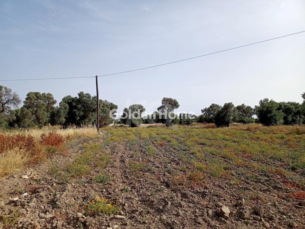 εικόνα αγγελίας