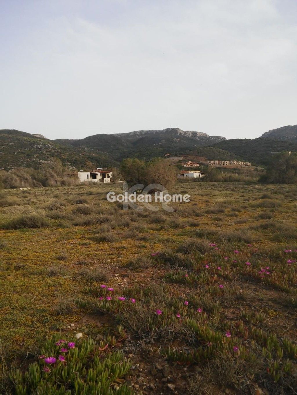 εικόνα αγγελίας