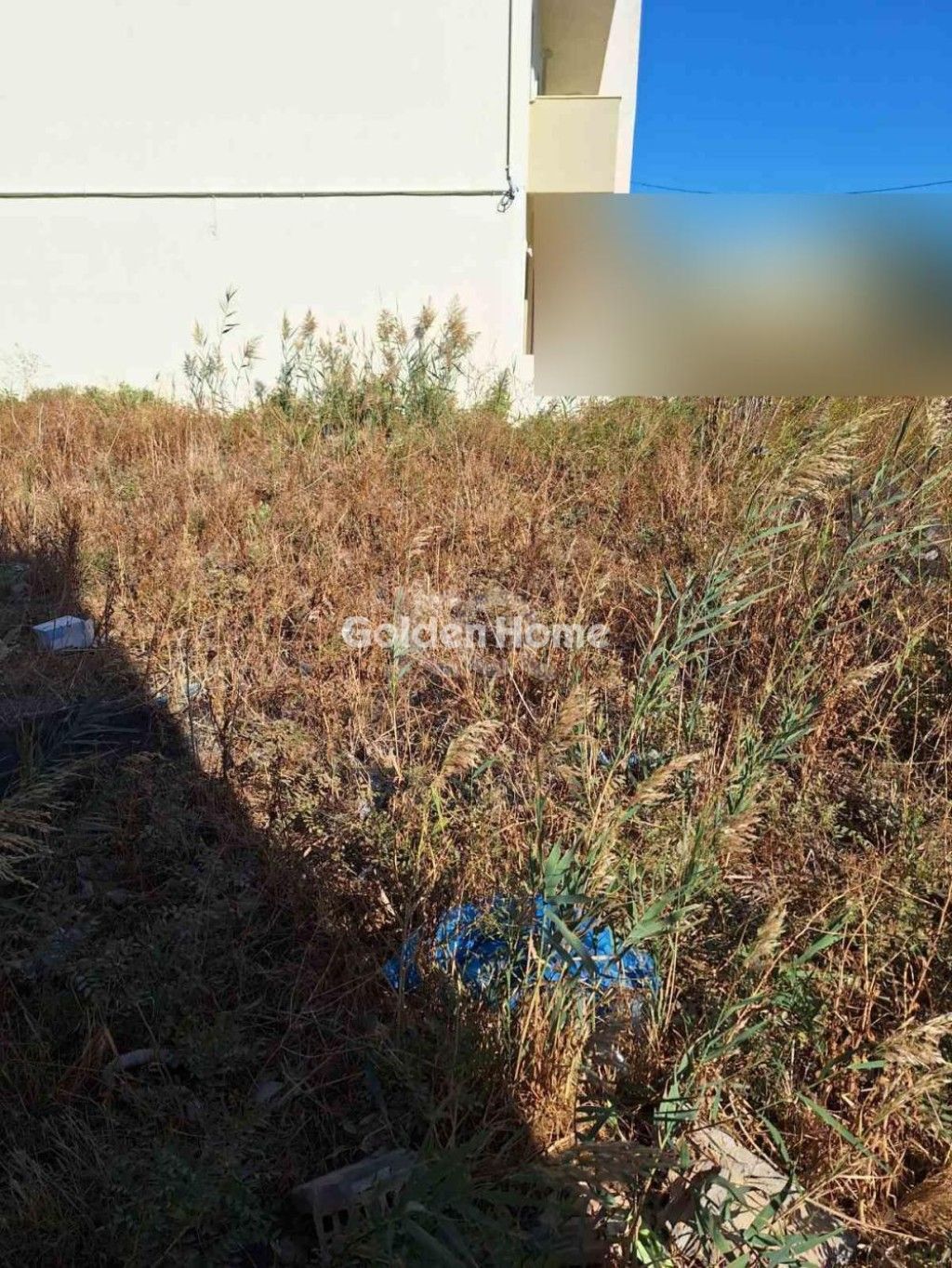 εικόνα αγγελίας