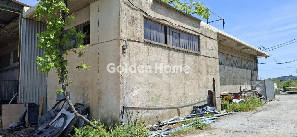 εικόνα αγγελίας