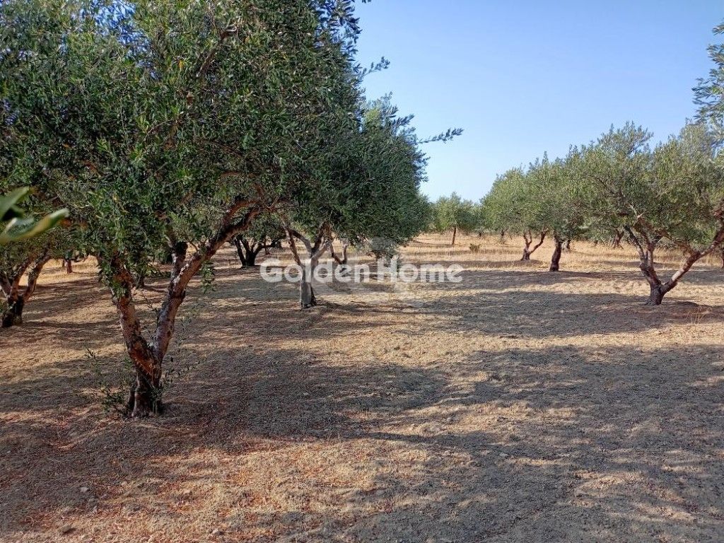 εικόνα αγγελίας