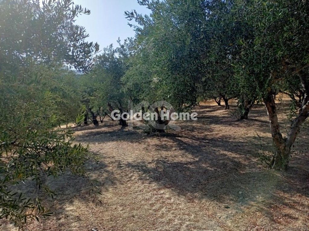 εικόνα αγγελίας