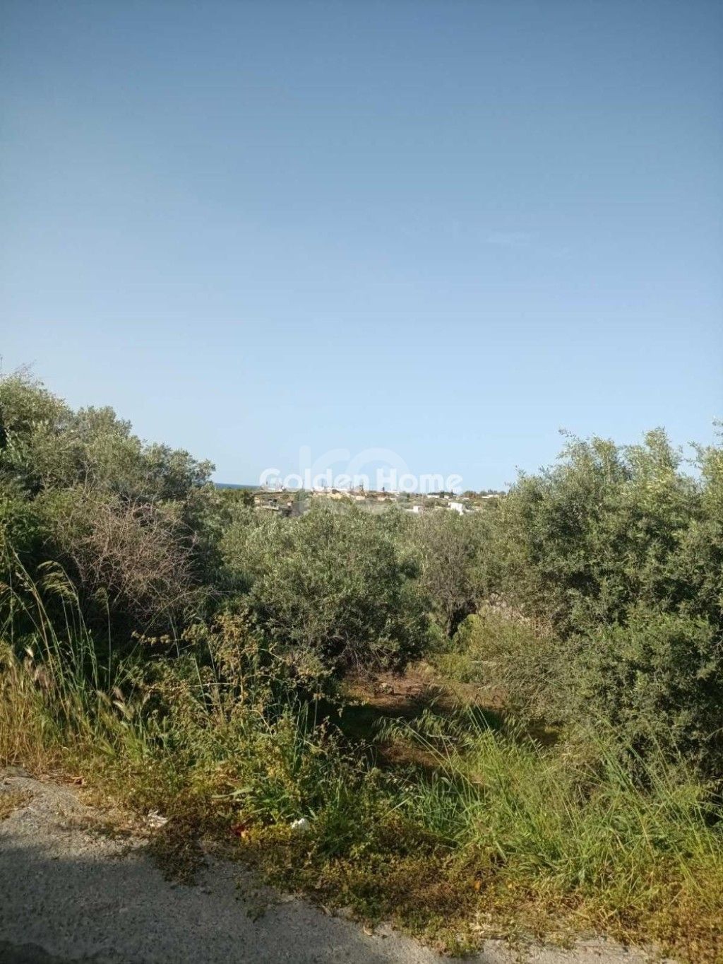 εικόνα αγγελίας