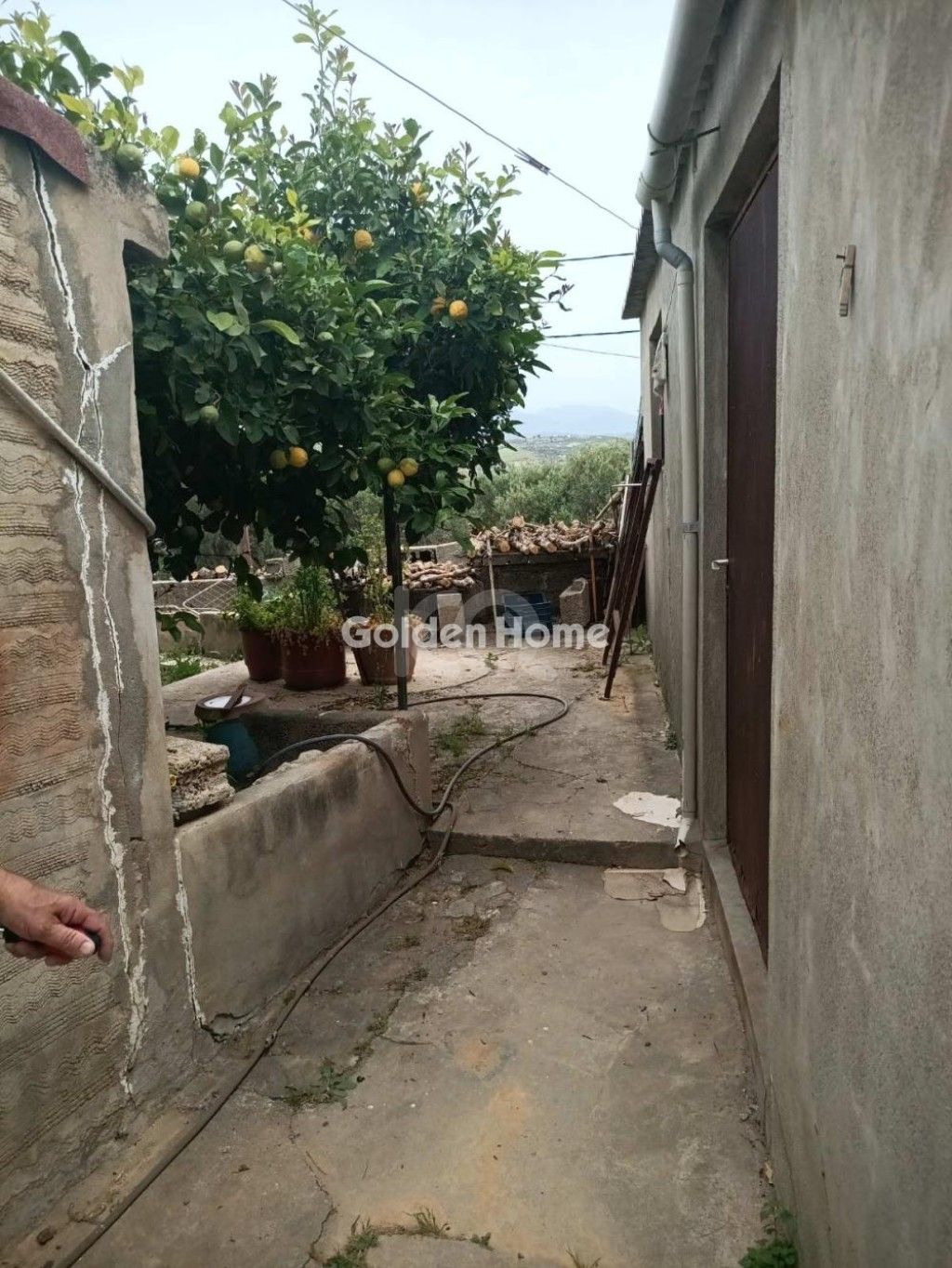 εικόνα αγγελίας