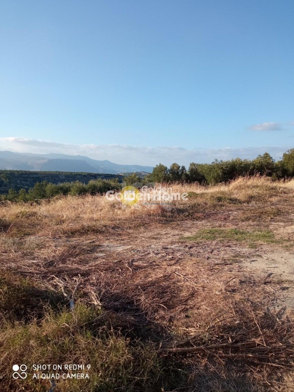 εικόνα αγγελίας