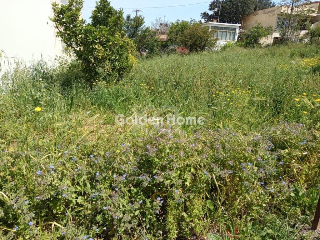 εικόνα αγγελίας