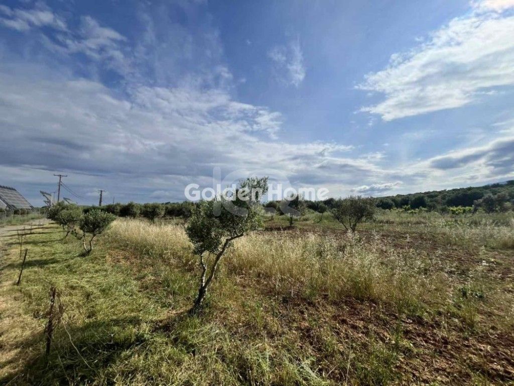 εικόνα αγγελίας