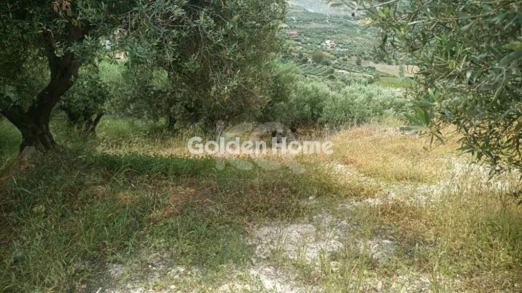 εικόνα αγγελίας