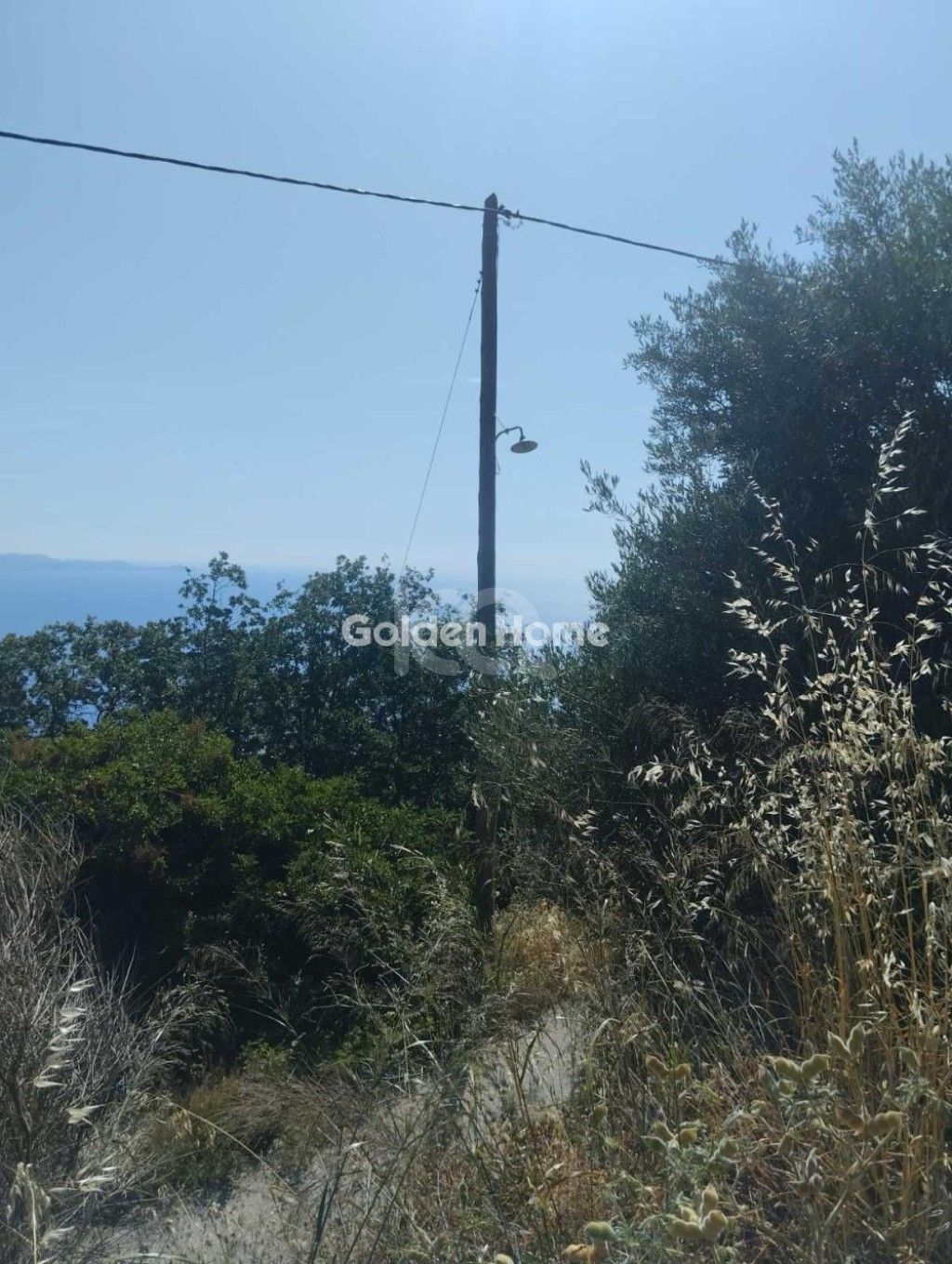εικόνα αγγελίας