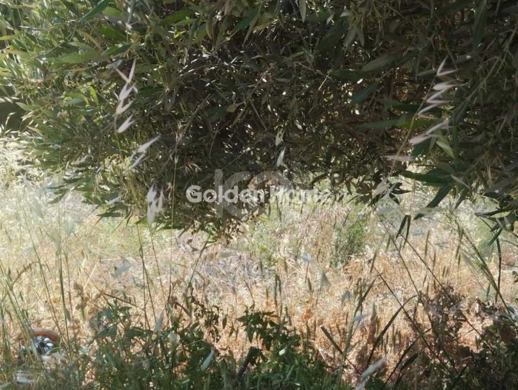 εικόνα αγγελίας