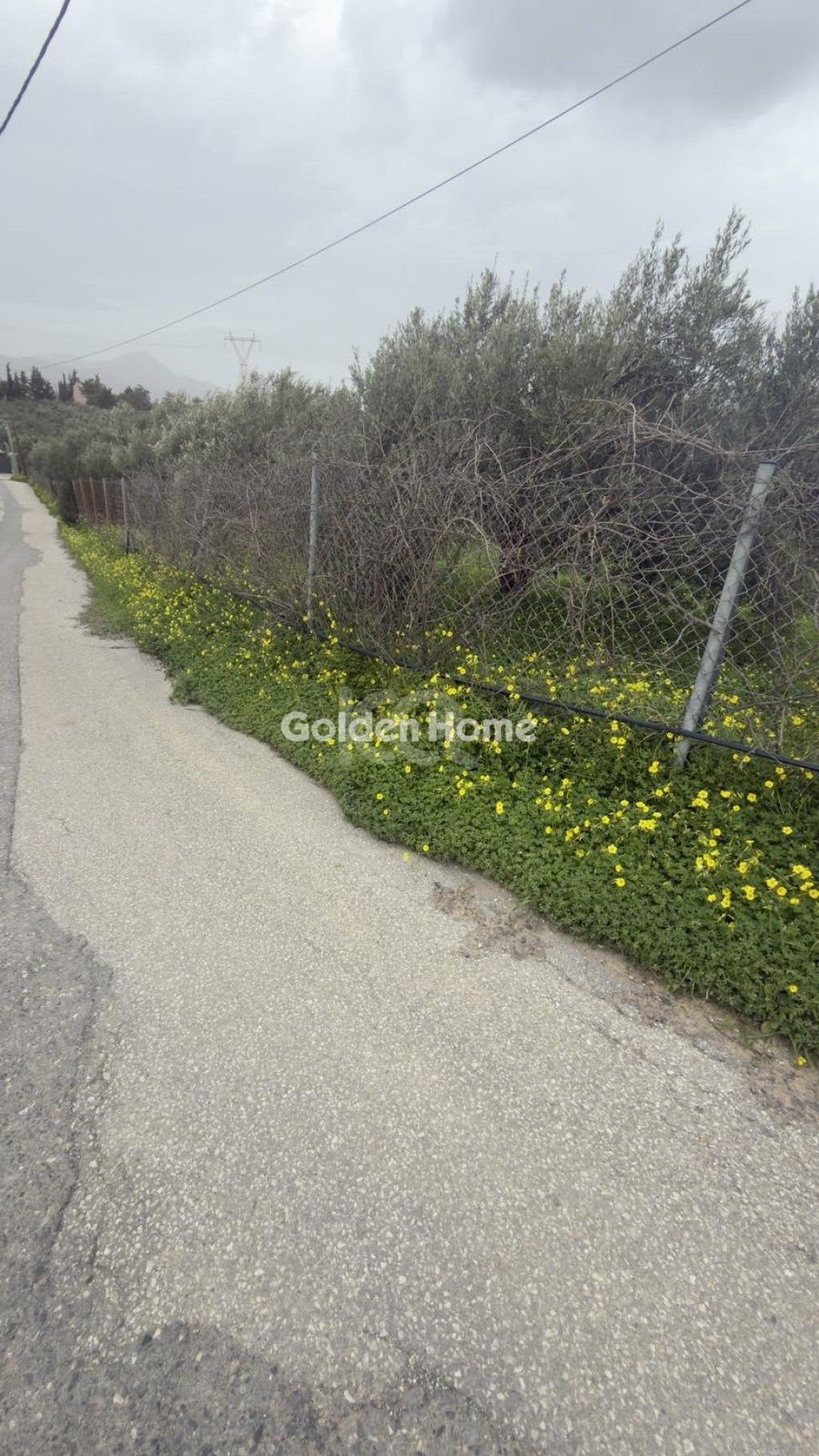 εικόνα αγγελίας