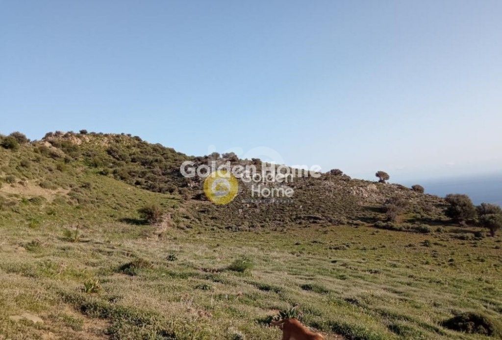 εικόνα αγγελίας