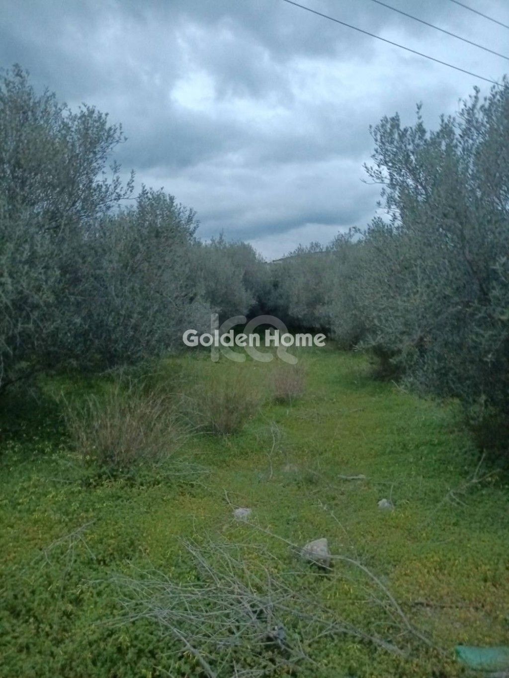 εικόνα αγγελίας