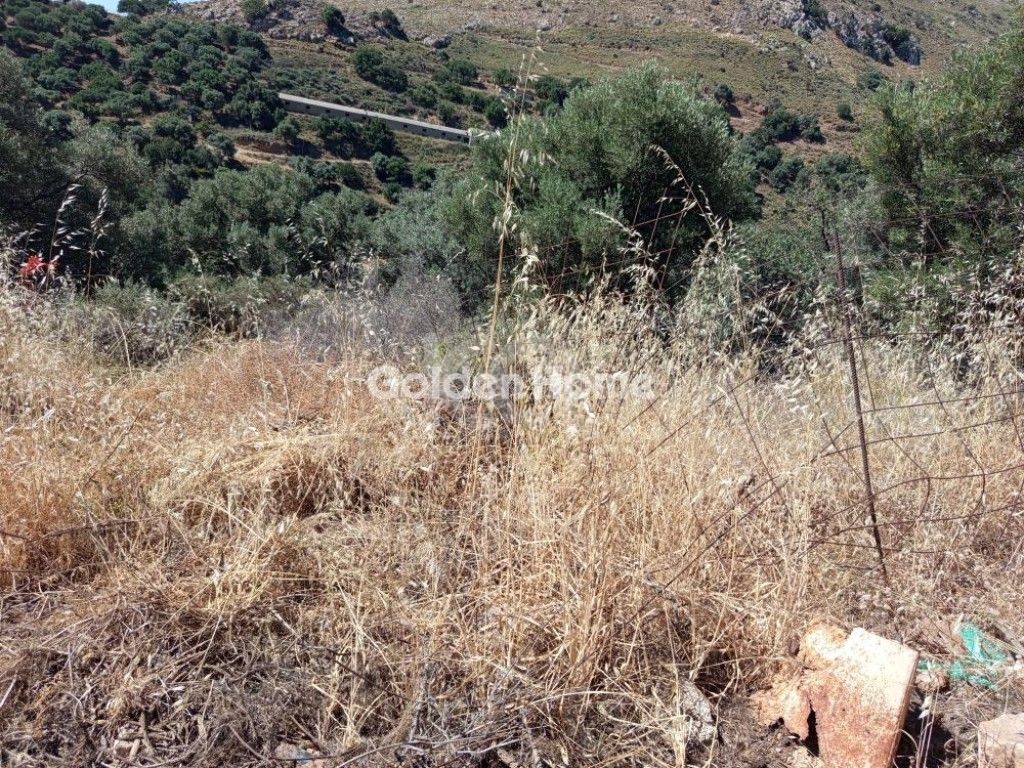 εικόνα αγγελίας