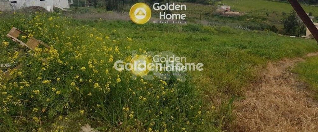 εικόνα αγγελίας