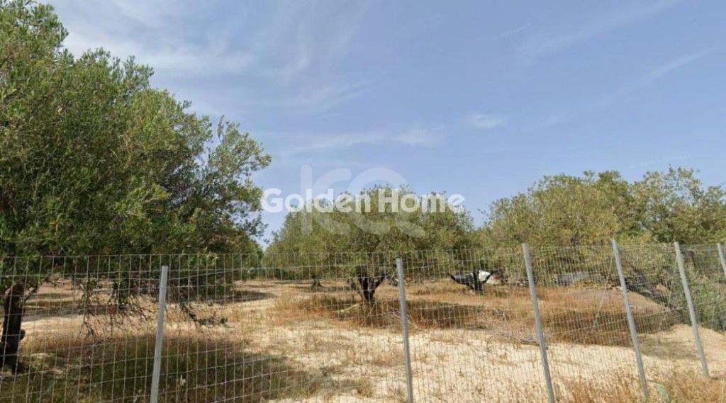 εικόνα αγγελίας