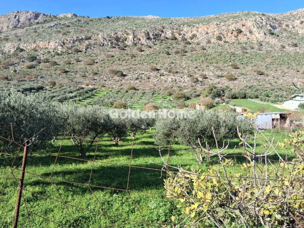 εικόνα αγγελίας