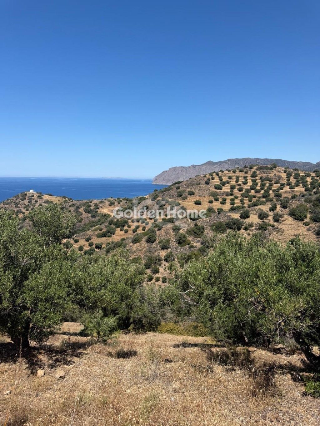 εικόνα αγγελίας