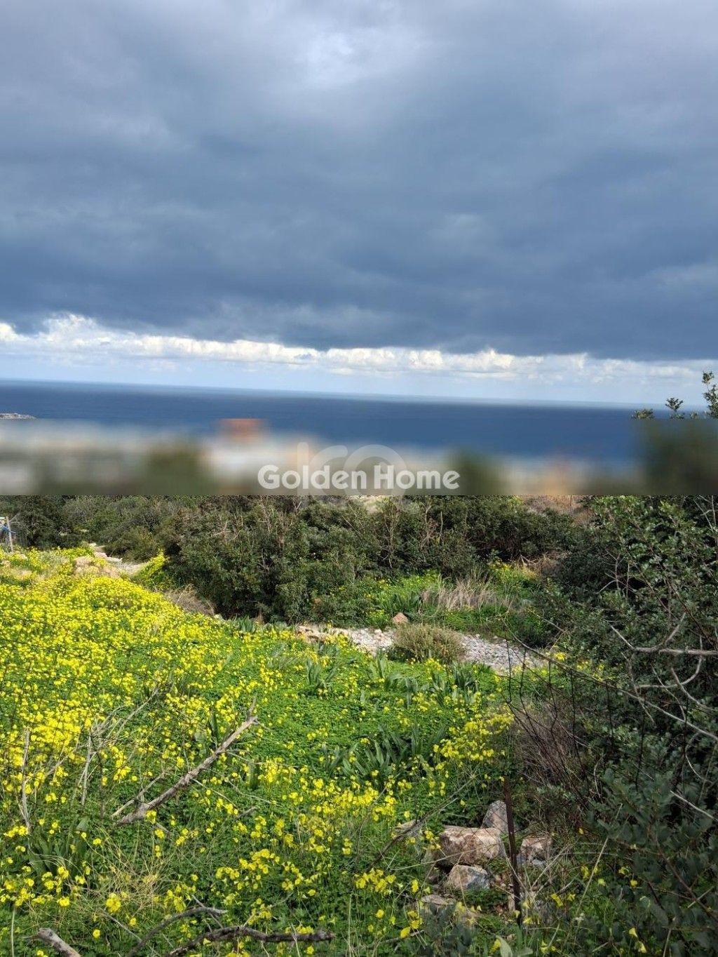 εικόνα αγγελίας