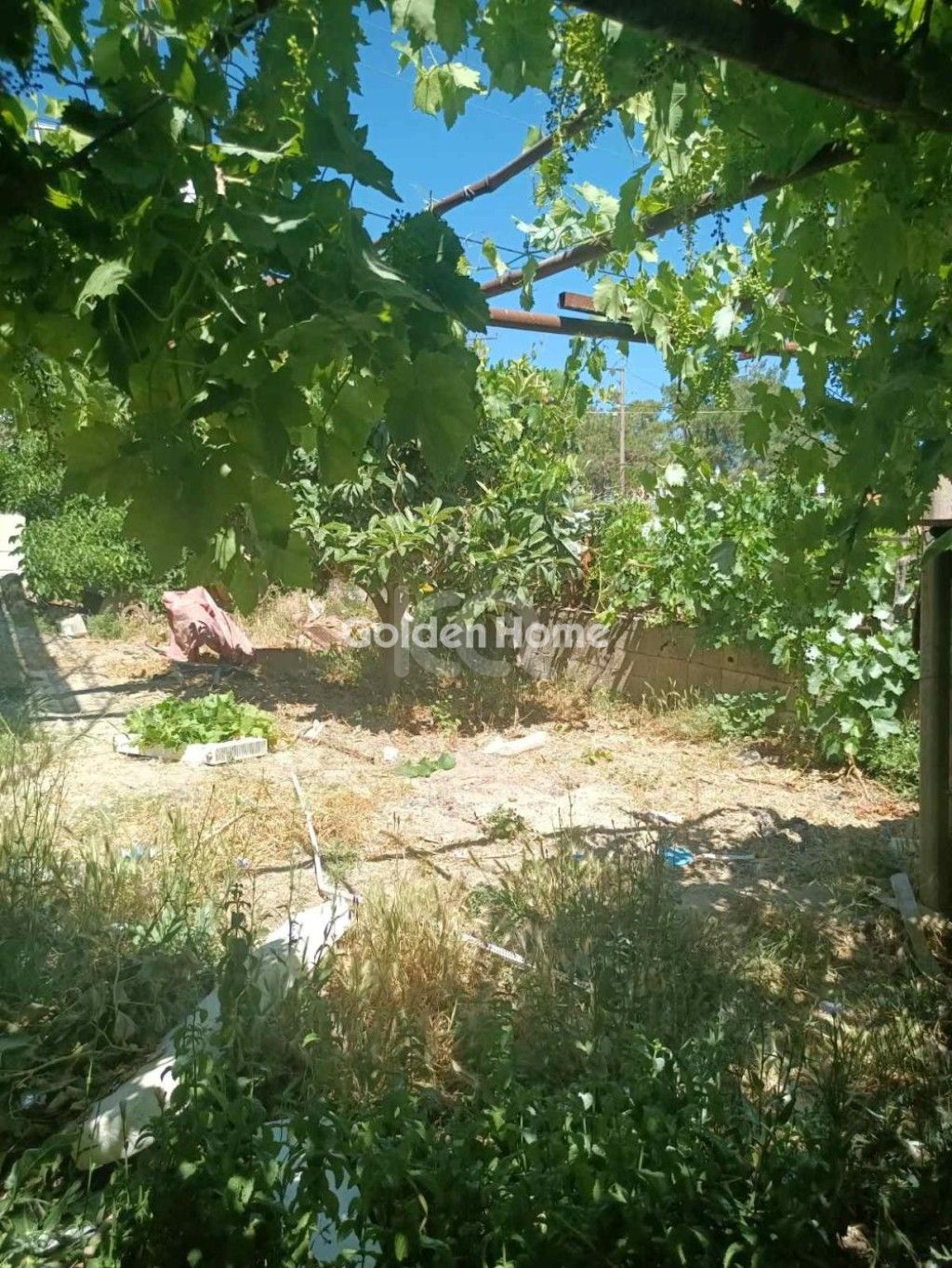 εικόνα αγγελίας
