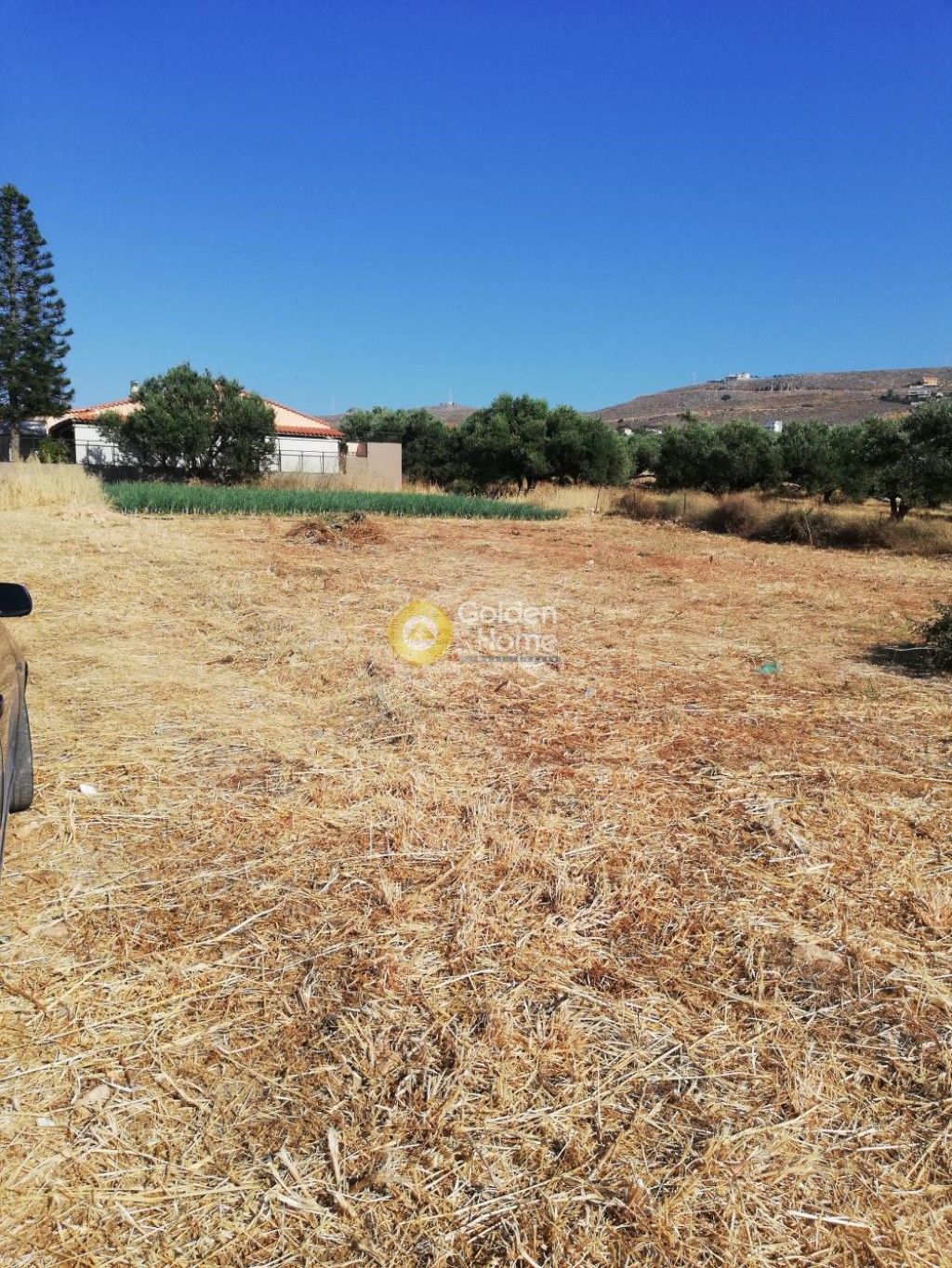 εικόνα αγγελίας