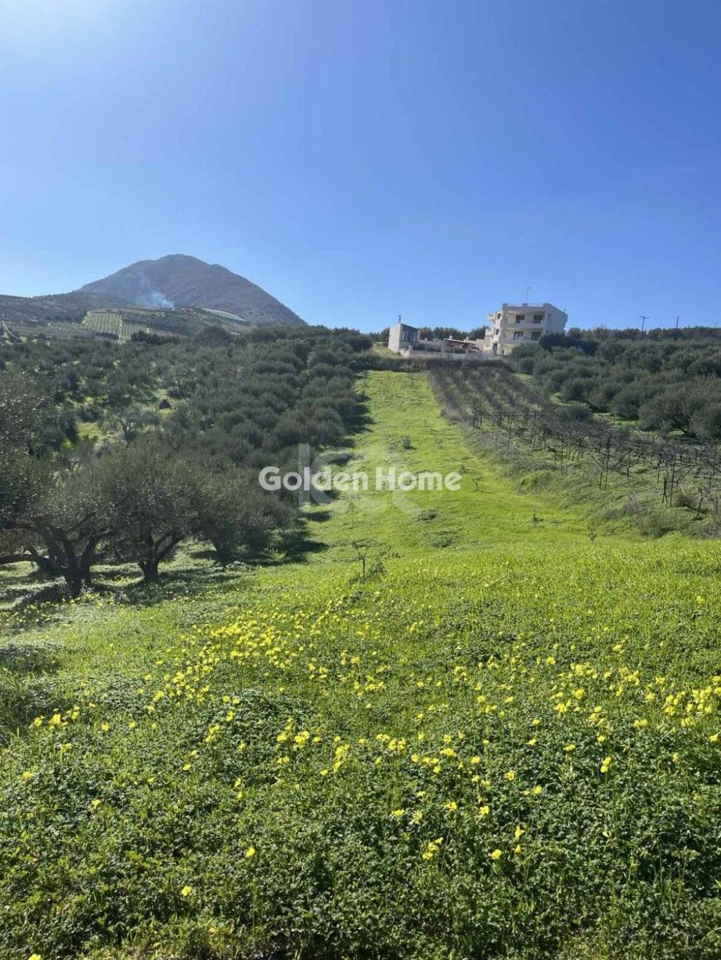 εικόνα αγγελίας