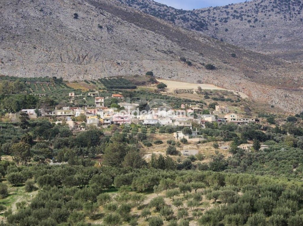 εικόνα αγγελίας