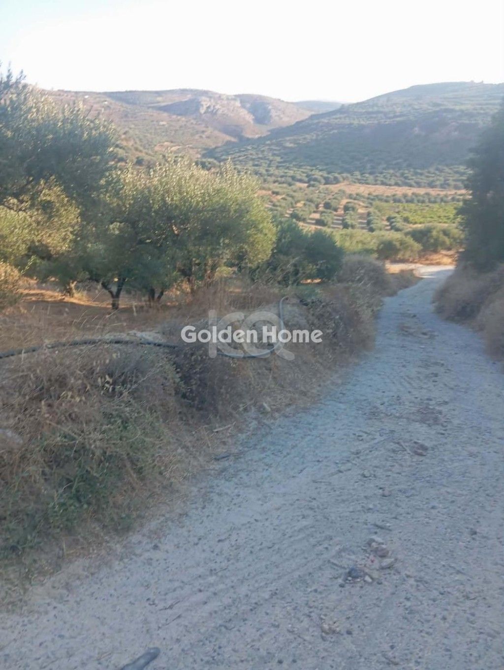 εικόνα αγγελίας