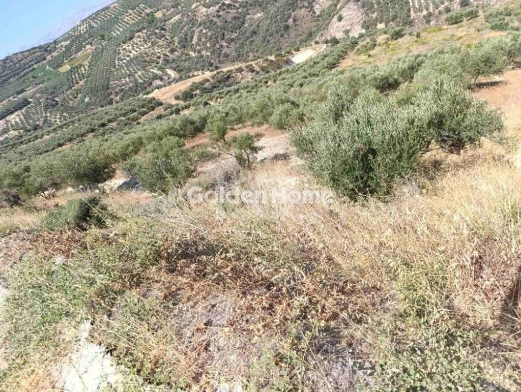 εικόνα αγγελίας