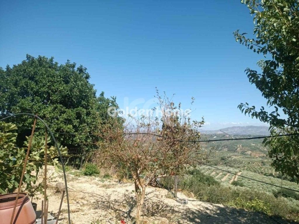 εικόνα αγγελίας