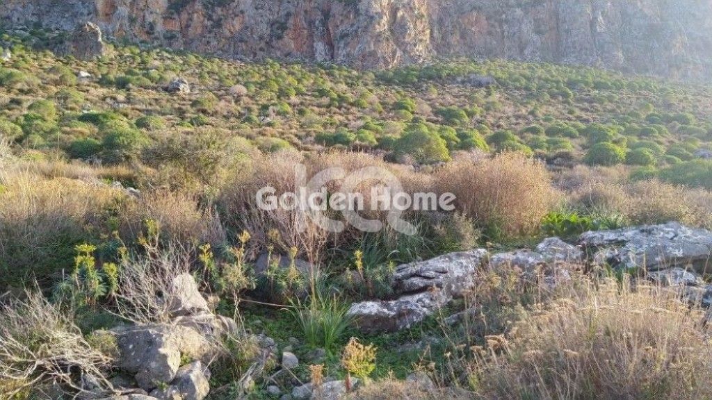 εικόνα αγγελίας